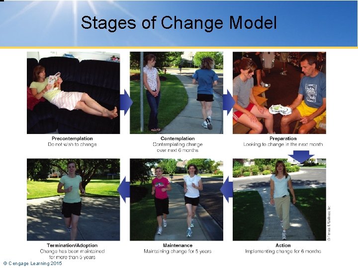 Stages of Change Model © Cengage Learning 2015 