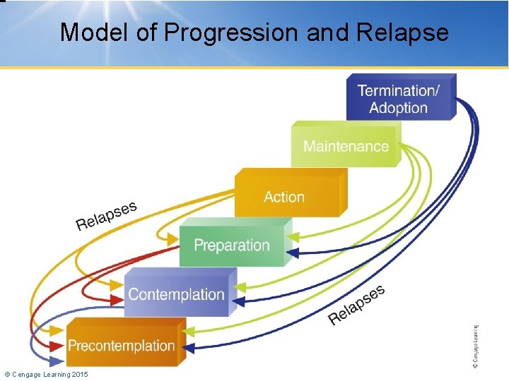 Model of Progression and Relapse © Cengage Learning 2015 