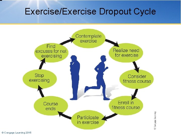 Exercise/Exercise Dropout Cycle © Cengage Learning 2015 