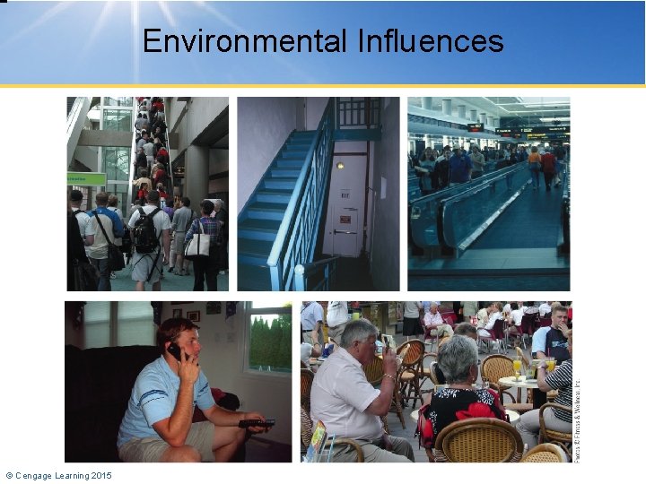 Environmental Influences © Cengage Learning 2015 