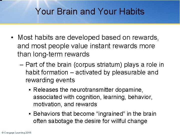 Your Brain and Your Habits • Most habits are developed based on rewards, and