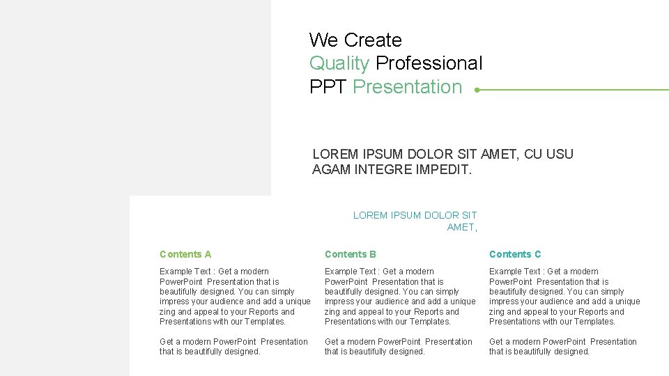 We Create Quality Professional PPT Presentation LOREM IPSUM DOLOR SIT AMET, CU USU AGAM