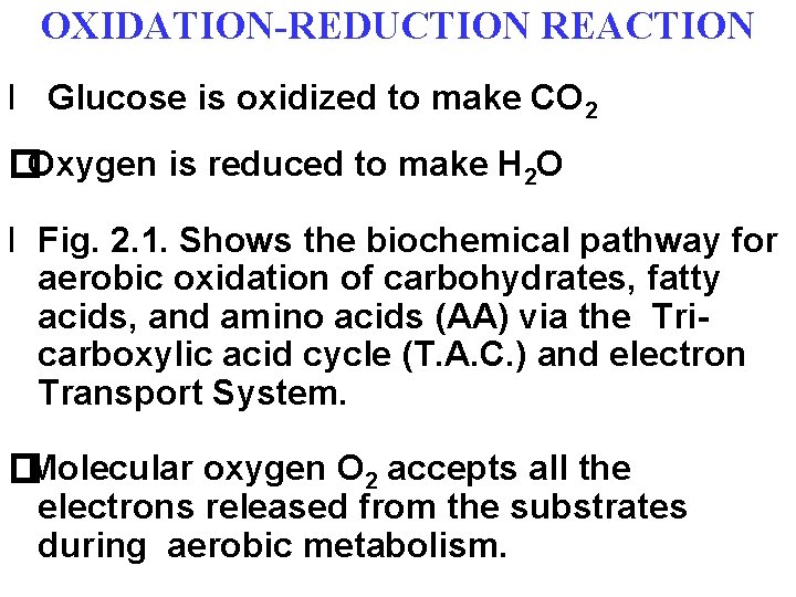 OXIDATION-REDUCTION REACTION l Glucose is oxidized to make CO 2 �Oxygen is reduced to
