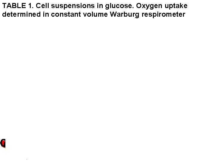 TABLE 1. Cell suspensions in glucose. Oxygen uptake determined in constant volume Warburg respirometer