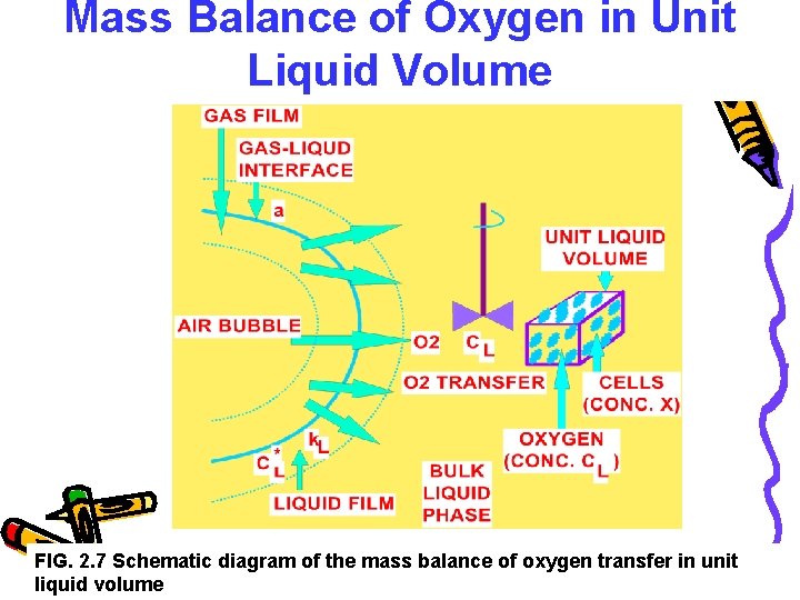 Mass Balance of Oxygen in Unit Liquid Volume FIG. 2. 7 Schematic diagram of