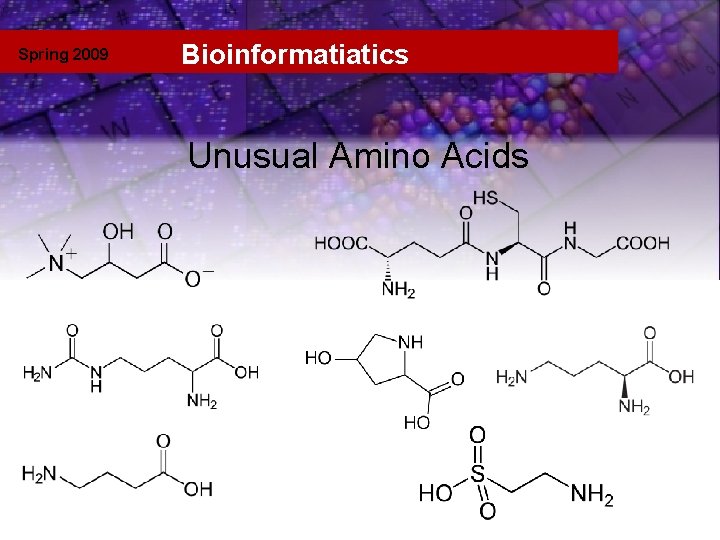 Spring 2009 Bioinformatiatics Unusual amino acids Unusual Amino Acids 