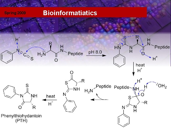 Spring 2009 Bioinformatiatics Template 