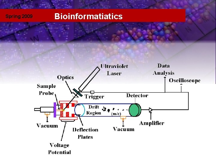 Spring 2009 Bioinformatiatics Template 