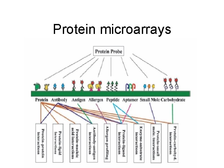 Protein microarrays 