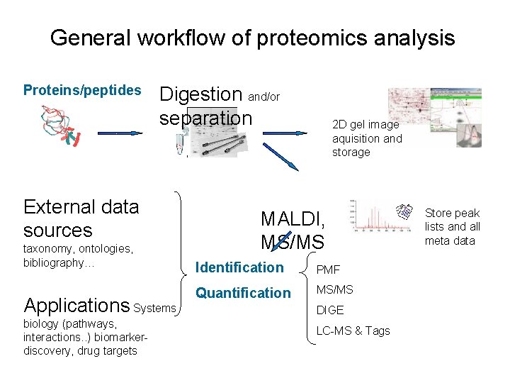 General workflow of proteomics analysis Proteins/peptides Digestion and/or separation External data sources taxonomy, ontologies,