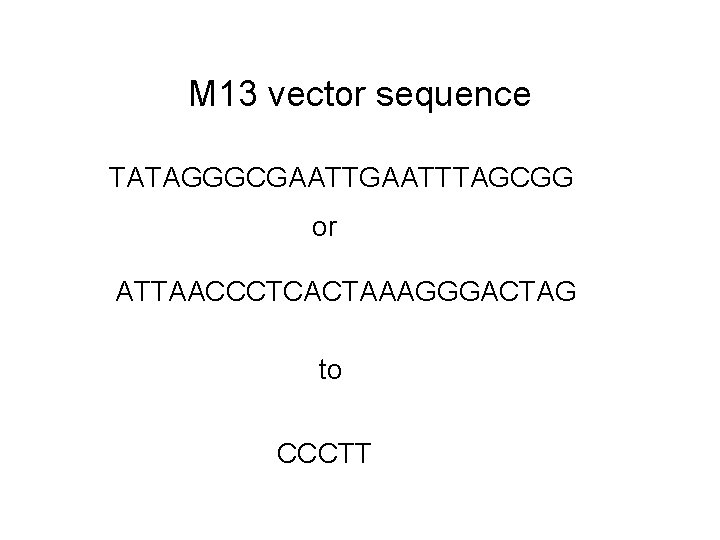 M 13 vector sequence TATAGGGCGAATTTAGCGG or ATTAACCCTCACTAAAGGGACTAG to CCCTT 