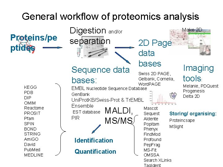 General workflow of proteomics analysis Proteins/pe ptides KEGG PDB DIP OMIM Reactome PROSIT Pfam