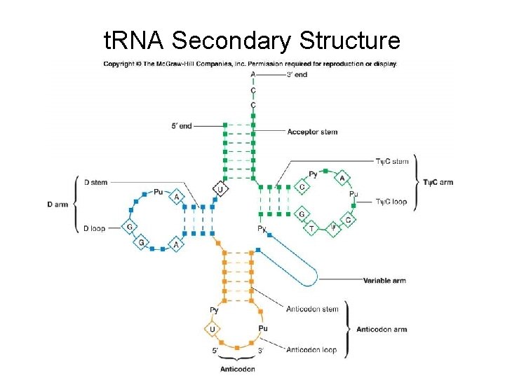 t. RNA Secondary Structure 