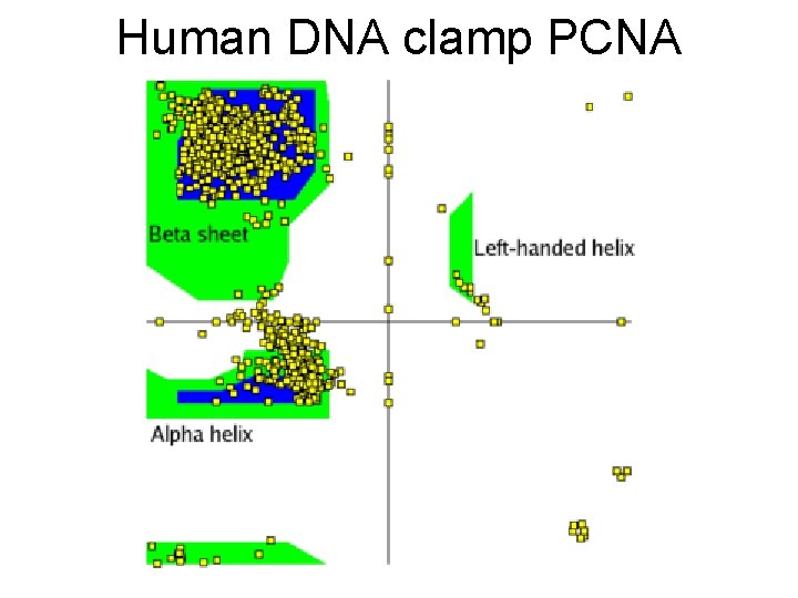 Human DNA clamp PCNA 