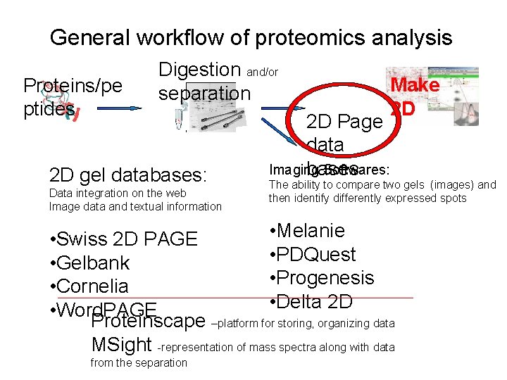 General workflow of proteomics analysis Proteins/pe ptides Digestion and/or separation 2 D gel databases: