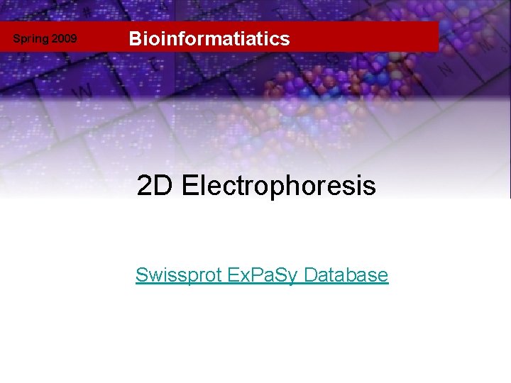 Spring 2009 Bioinformatiatics 2 D gels at Swissprot 2 D Electrophoresis Swissprot Ex. Pa.