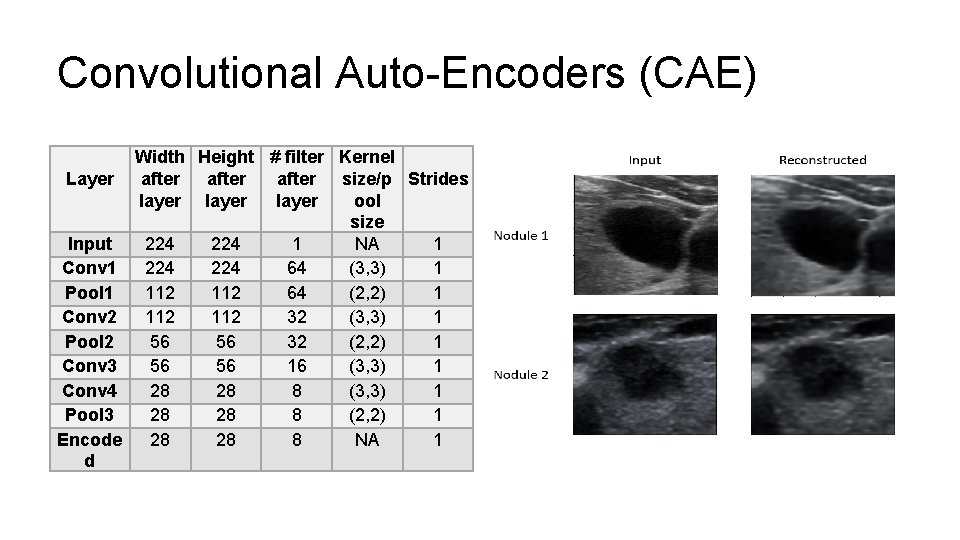 Convolutional Auto-Encoders (CAE) Layer Width Height # filter Kernel after size/p Strides layer ool Convolutional Auto-Encoders (CAE) Layer Width Height # filter Kernel after size/p Strides layer ool