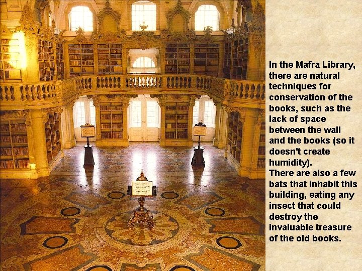 In the Mafra Library, there are natural techniques for conservation of the books, such
