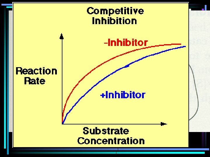 COMPETITIVE INHIBITORS – Inhibitor binds (non covalently) to the active site – Competes with