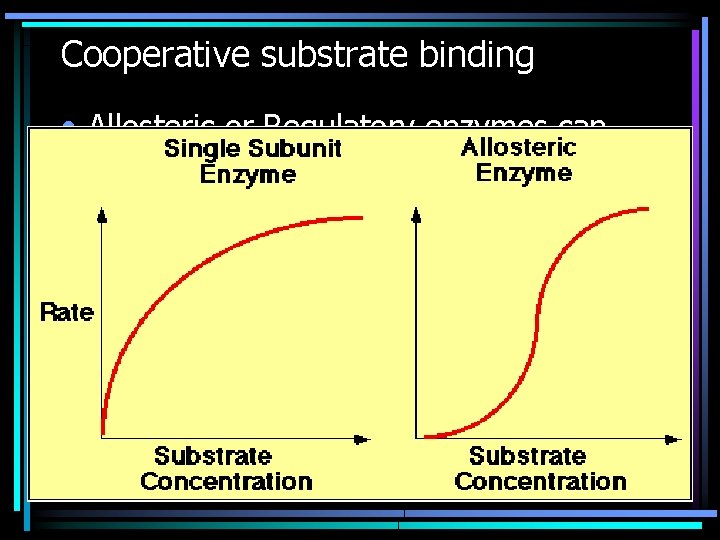 Cooperative substrate binding • Allosteric or Regulatory enzymes can have multiple subunits (Quaternary Structure)