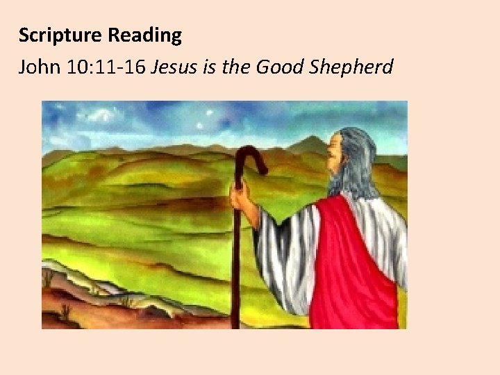 Scripture Reading John 10: 11 -16 Jesus is the Good Shepherd 