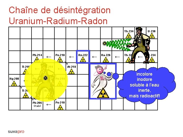 Chaîne de désintégration Uranium-Radon U-238 ← ← Th-234 ← Pa-234 ← Po-218 Bi-214 Pb-210