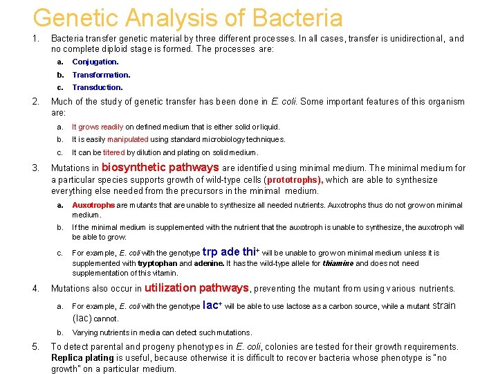 Genetic Analysis of Bacteria 1. 2. 3. 4. Bacteria transfer genetic material by three