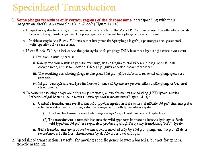 Specialized Transduction 1. Some phages transduce only certain regions of the chromosome, corresponding with