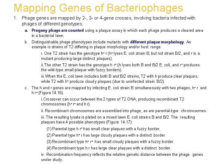 Mapping Genes of Bacteriophages 1. Phage genes are mapped by 2 -, 3 -