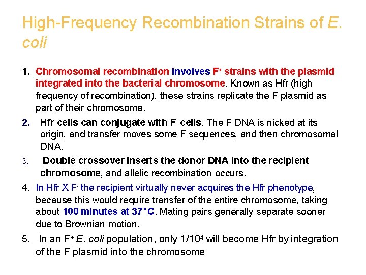 High-Frequency Recombination Strains of E. coli 1. Chromosomal recombination involves F+ strains with the