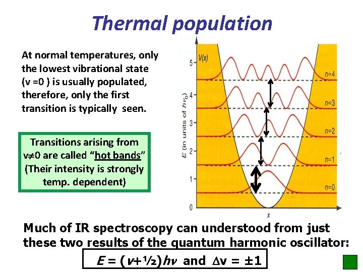 Thermal population At normal temperatures, only the lowest vibrational state (v =0 ) is