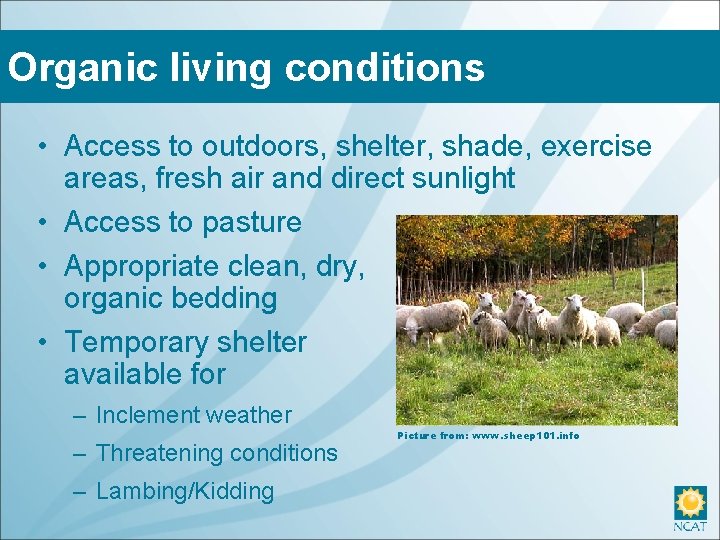 Organic living conditions • Access to outdoors, shelter, shade, exercise areas, fresh air and