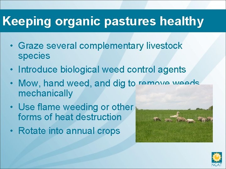 Keeping organic pastures healthy • Graze several complementary livestock species • Introduce biological weed