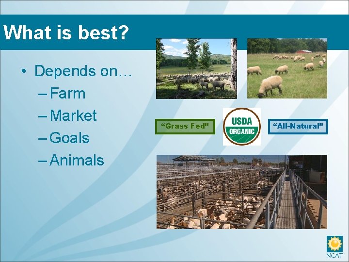 What is best? • Depends on… – Farm – Market – Goals – Animals