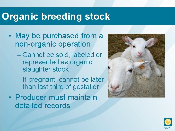 Organic breeding stock • May be purchased from a non-organic operation – Cannot be