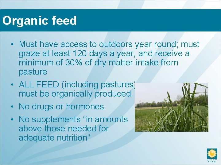 Organic feed • Must have access to outdoors year round; must graze at least