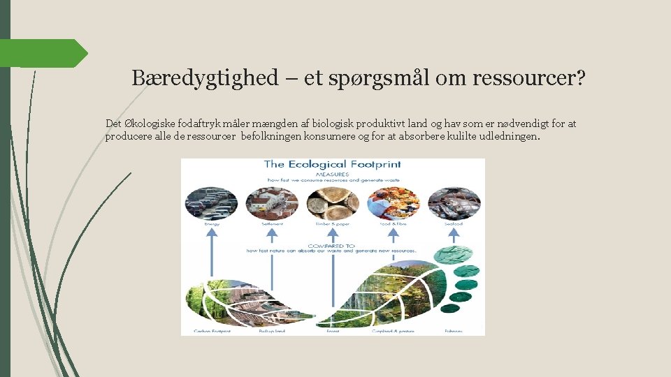 Bæredygtighed – et spørgsmål om ressourcer? Det Økologiske fodaftryk måler mængden af biologisk produktivt