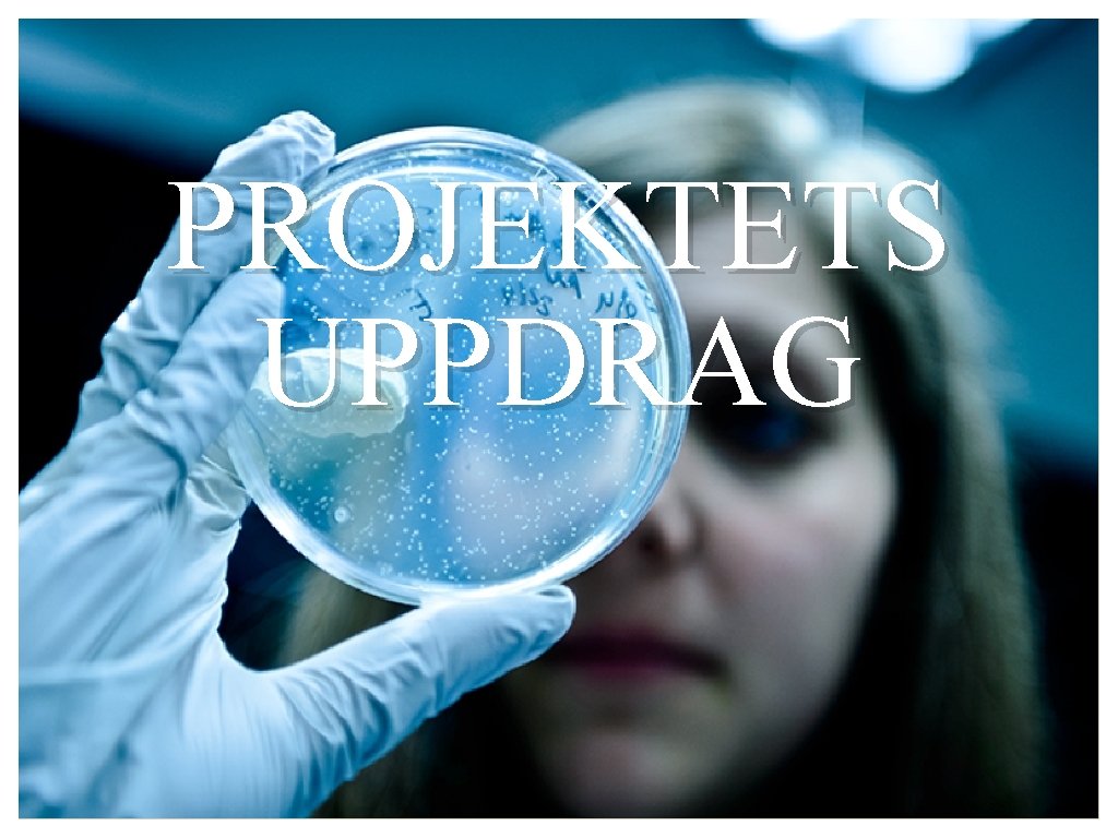 PROJEKTETS UPPDRAG 