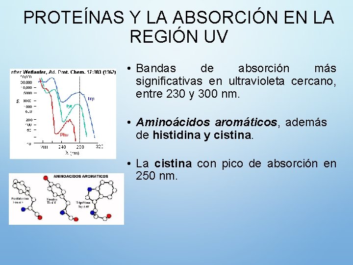 PROTEÍNAS Y LA ABSORCIÓN EN LA REGIÓN UV • Bandas de absorción más significativas