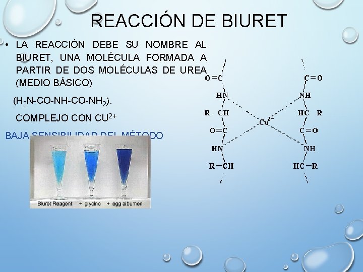 REACCIÓN DE BIURET • LA REACCIÓN DEBE SU NOMBRE AL BIURET, UNA MOLÉCULA FORMADA