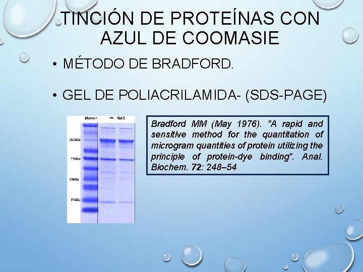 TINCIÓN DE PROTEÍNAS CON AZUL DE COOMASIE • MÉTODO DE BRADFORD. • GEL DE