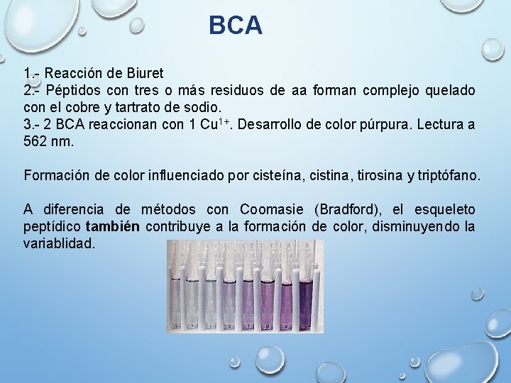 BCA 1. - Reacción de Biuret 2. - Péptidos con tres o más residuos