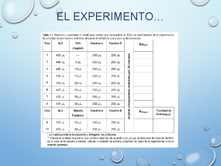 EL EXPERIMENTO… 