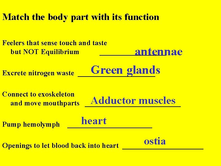 Match the body part with its function Feelers that sense touch and taste but