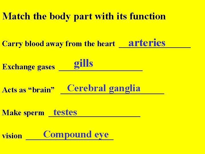 Match the body part with its function arteries Carry blood away from the heart