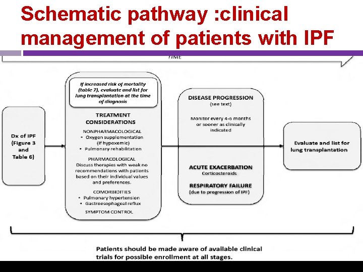 Schematic pathway : clinical management of patients with IPF Am J Respir Crit Care