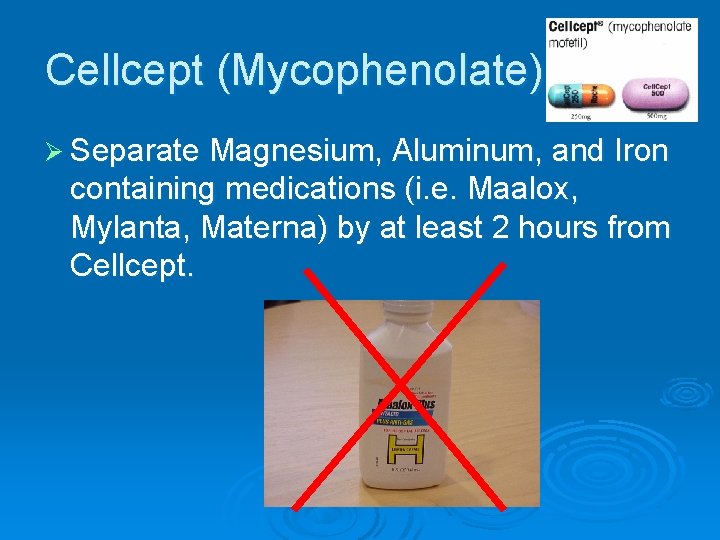 Cellcept (Mycophenolate) Ø Separate Magnesium, Aluminum, and Iron containing medications (i. e. Maalox, Mylanta,