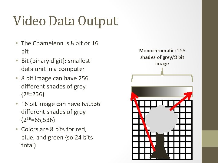 Video Data Output • The Chameleon is 8 bit or 16 bit • Bit