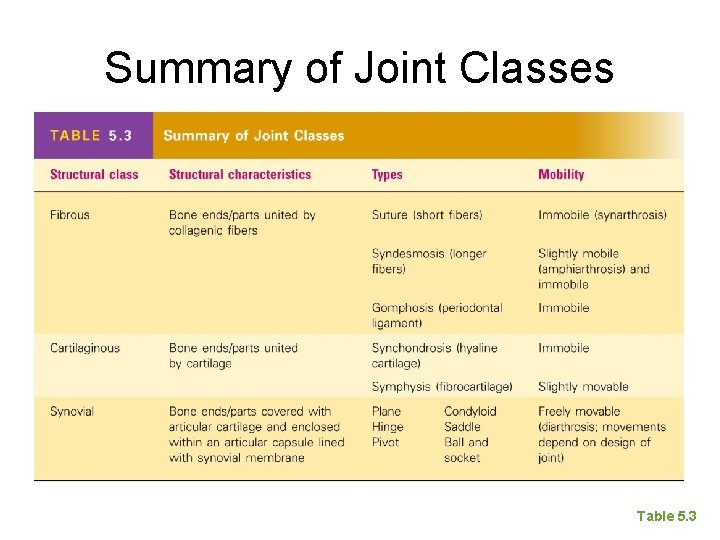 Summary of Joint Classes [Insert Table 5. 3 here] Table 5. 3 