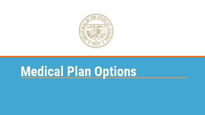 Medical Plan Options 